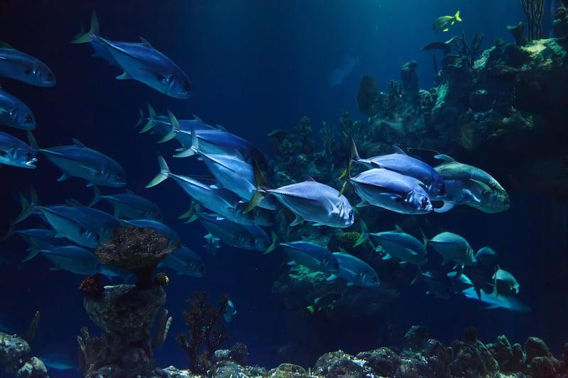 Underwater Palace